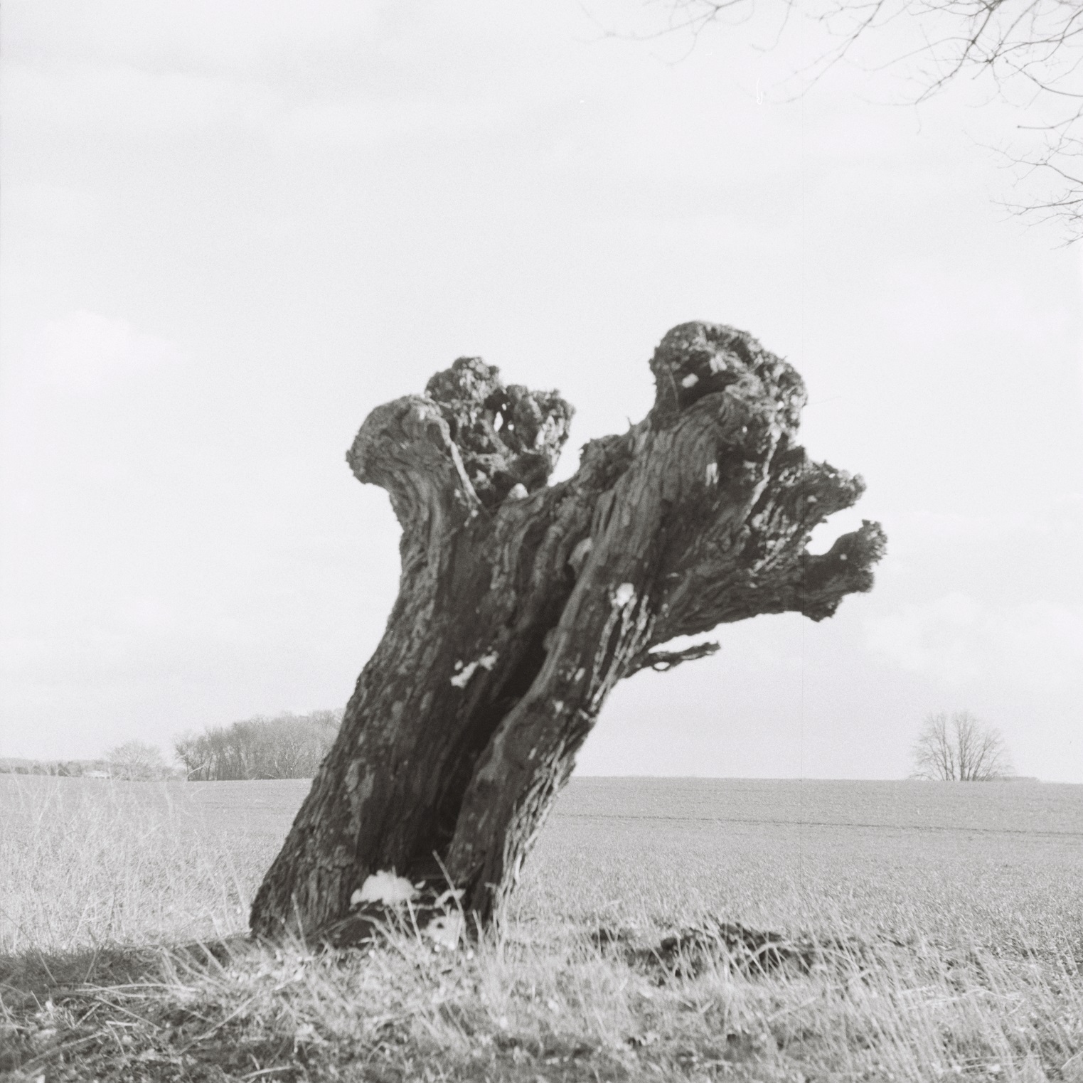 Portraits: Der Kirchgänger