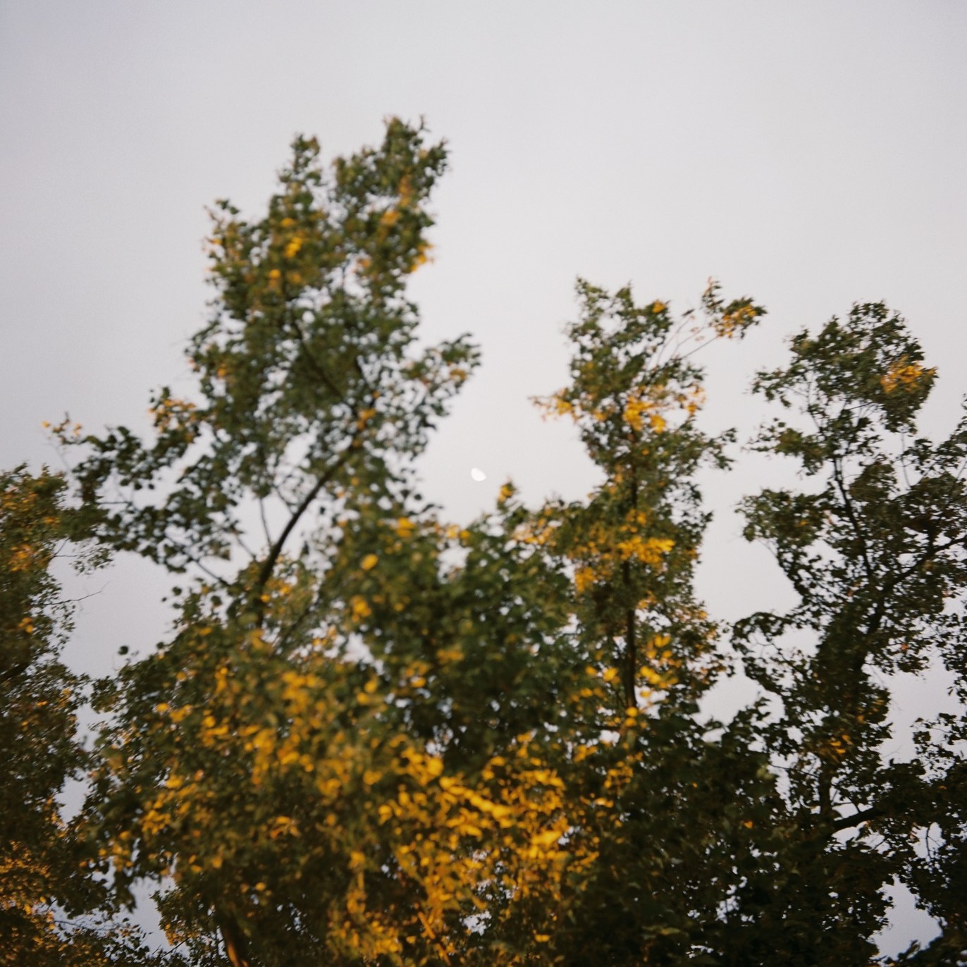 Bilder des Abschieds